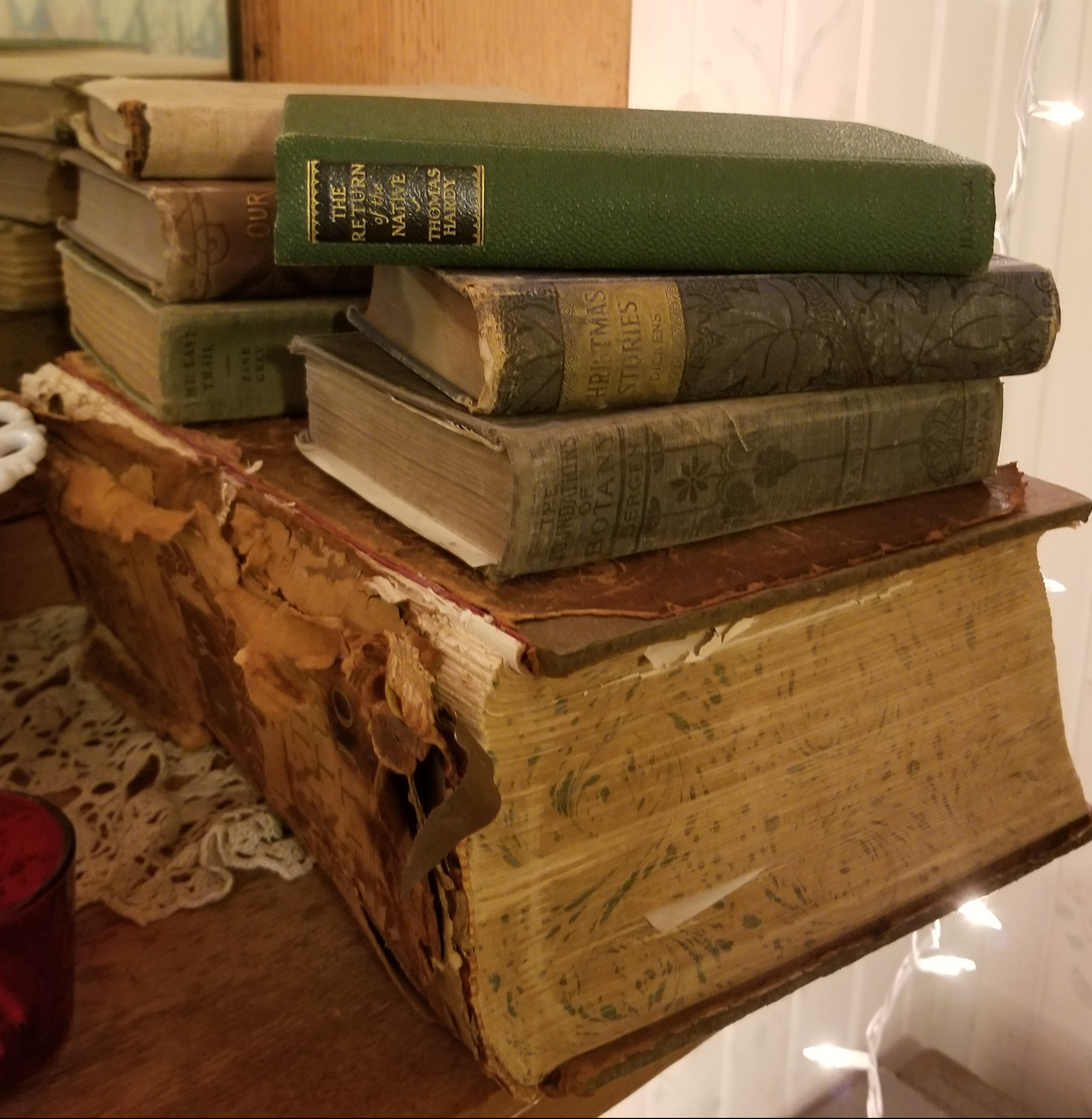 Fun Finds at the Janke Book Store